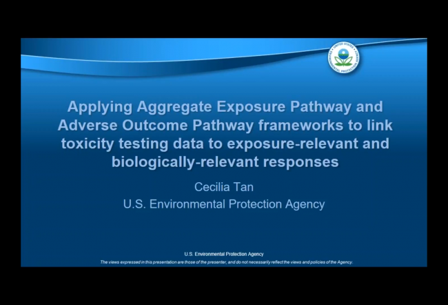 Incorporating Realistic Exposures to Transformed Materials into Toxicity Testing